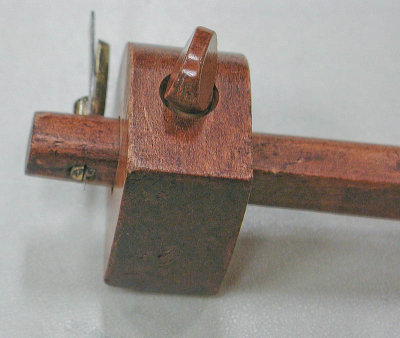 P5010012_1.jpg