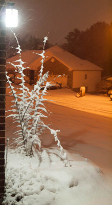 Snow