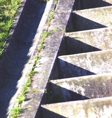 trap op febr.2008.jpg