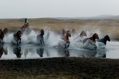 內蒙壩上 Bashang (Inner Mongolia)