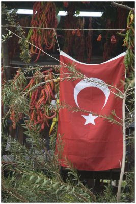 Turkish Village