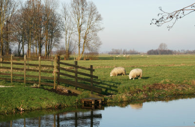 Sluipwijk