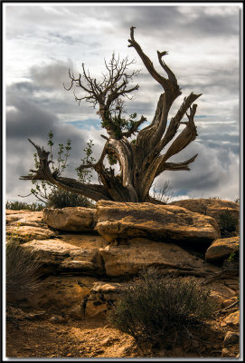 Arches National Park