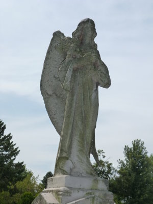 Angels above us