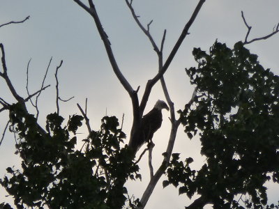 ...when we turned around to get another look...