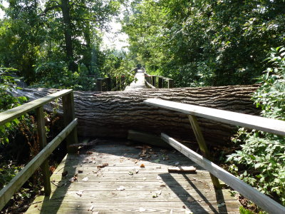 The end of the trail - Magee Marsh