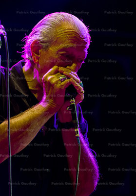 Charlie Musselwhite 36374w.jpg