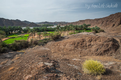 Wadi Al-Abyadh - Nakhal