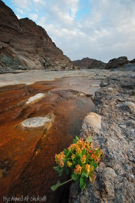 Wadi Al-Abyadh - Nakhal