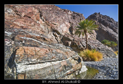 Wadi Al-Abyadh - Nakhal