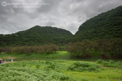 Wadi Darbat