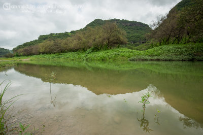 Wadi Darbat