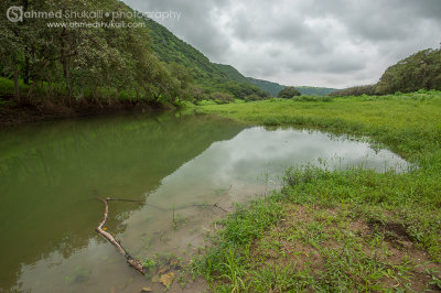 Wadi Darbat