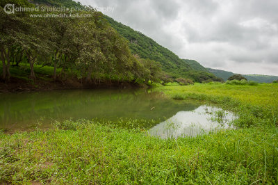 Wadi Darbat