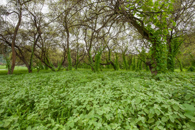 Wadi Darbat