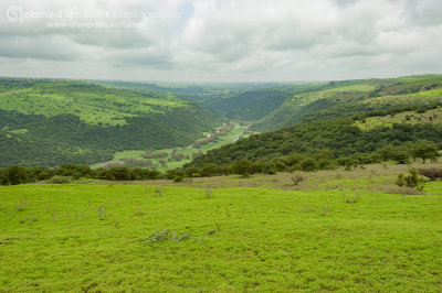 Wadi Darbat