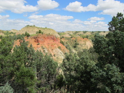 July 26: Theodore Roosevelt National Park
