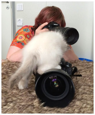 15/4 Catphotographer with assistant