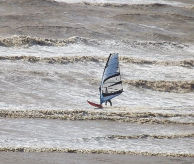 Windsurfer 4.jpg