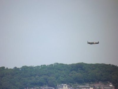Spitfire over weston woods.jpg