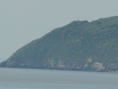 Steepholm pic 2.jpg