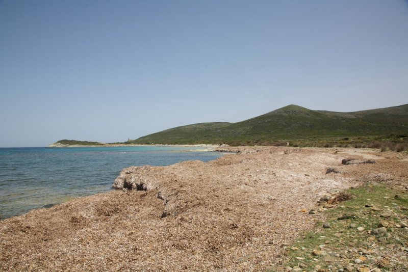 Plage de Barcaggio