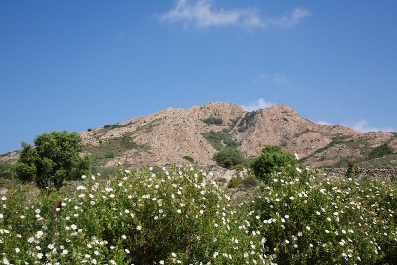 Punta Liatoggiu