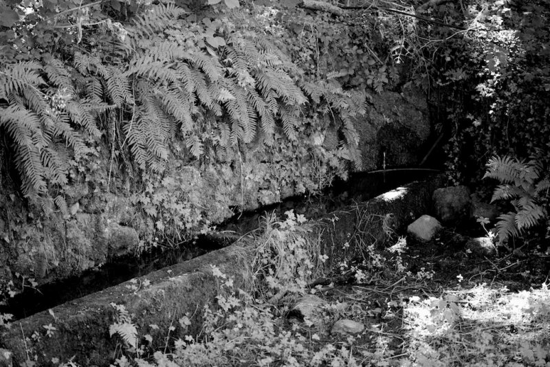 Fontaine