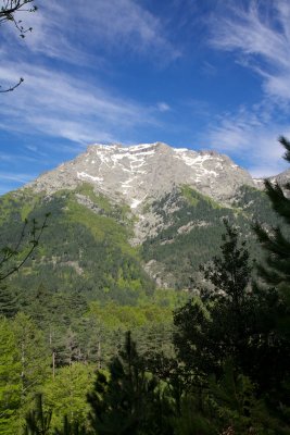 Monte d'Oro