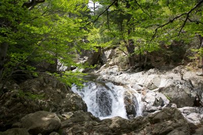 Cascade des Anglais