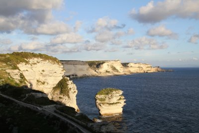 Bonifacio