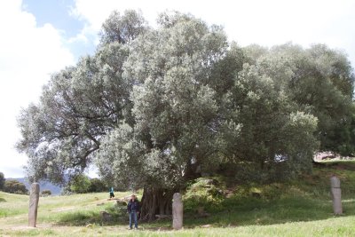 Filitosa