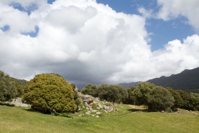 Filitosa