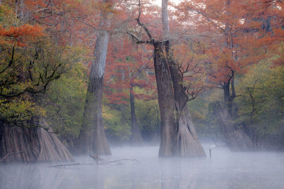 Bayou Chemin-A-Haut