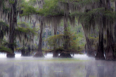 Old Bayou Channel