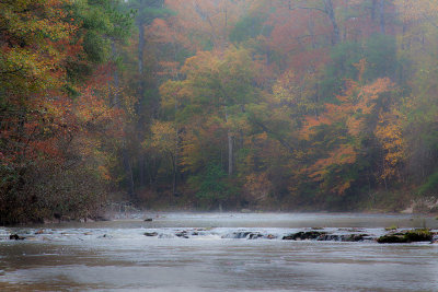 Kisatchie Bayou