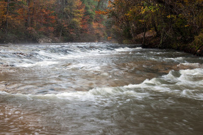 Kisatchie Bayou