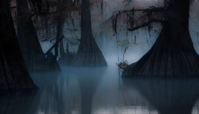 Benton Lake...Caddo Lake