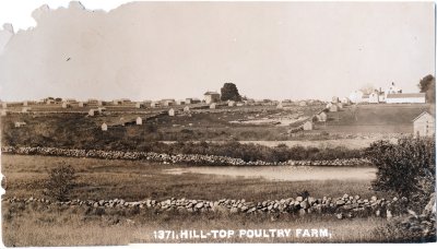 1371. Hill-Top Poultry Farm pano