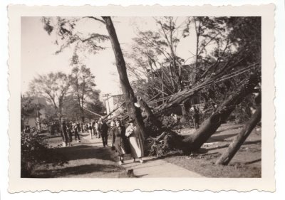 1938 Hurricane small - Pleasant St on Sept 22.jpg