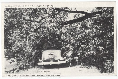 Great New England Hurricane of 1938 - A Common Scene