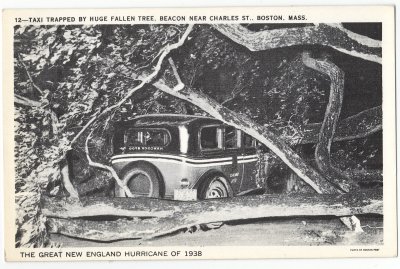 Great New England Hurricane of 1938 12 - Taxi Trapped by Fallen Tree