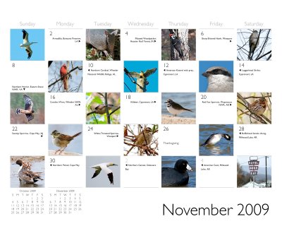 2009 calendar Nov