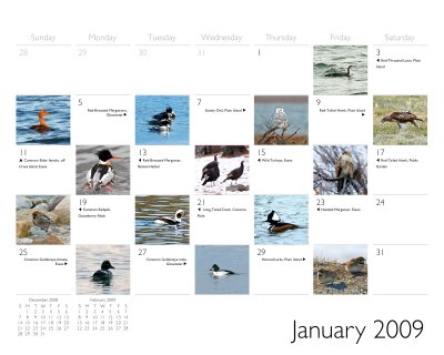2009 calendar Jan