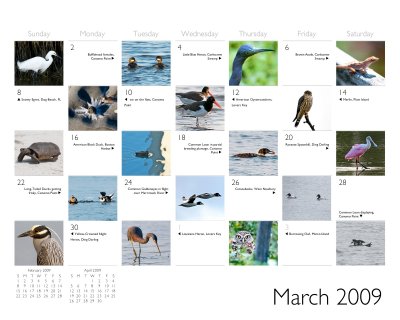 2009 calendar Mar