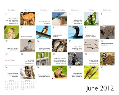 2012-3 calendar Jun
