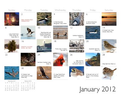 2012-3 calendar Jan