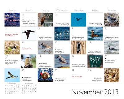 2012-3 clamflats calendar Nov