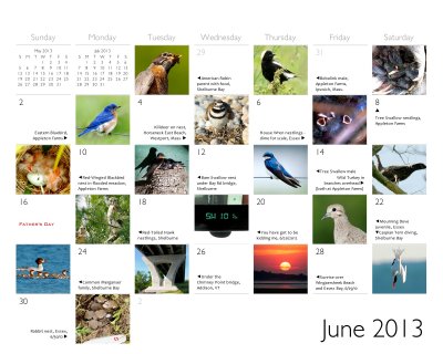 2012-3 clamflats calendar Jun