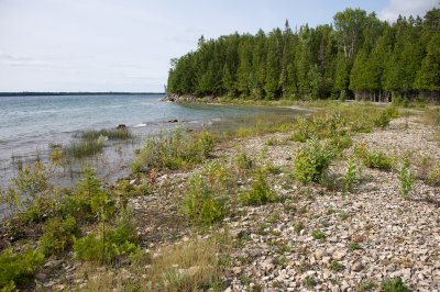 limestone beach on Manitoulin